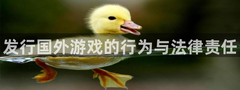 完美电竞官网电子商务有限公司地址:发行国外游戏的行为与法律责任