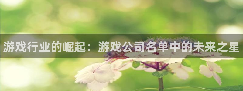 完美电竞官网电子商务有限公司