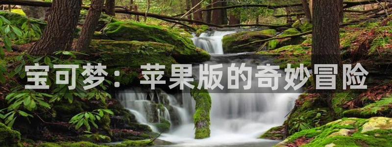 完美电竞平台代理条件是什么