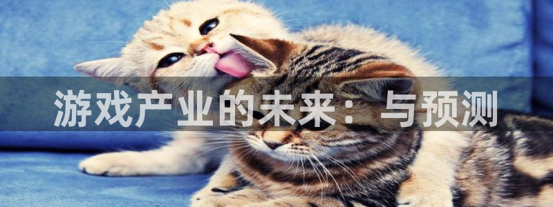 lvnces完美电竞官网衣服：游戏产业的未来：与预测