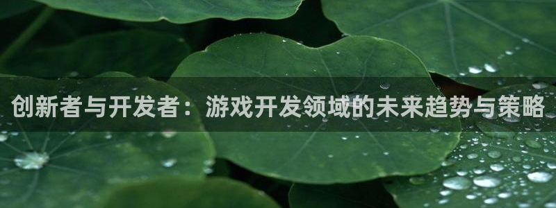 完美电竞注册地址查询官网：创新者与开发者：游戏开发领域的未来趋势与策略