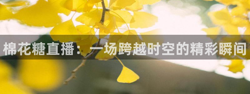 极速nba直播吧在线直播观看：棉花糖直播：一场跨越时空的精彩瞬间