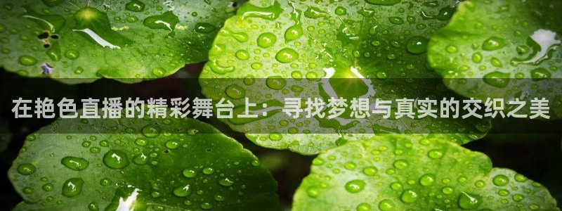 极速体育直播体育吧：在艳色直播的精彩舞台上：寻找梦想与真实的交织之美