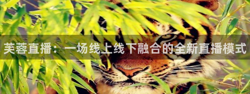 极速直播体育nba直播：芙蓉直播：一场线上线下融合的全新直播模式