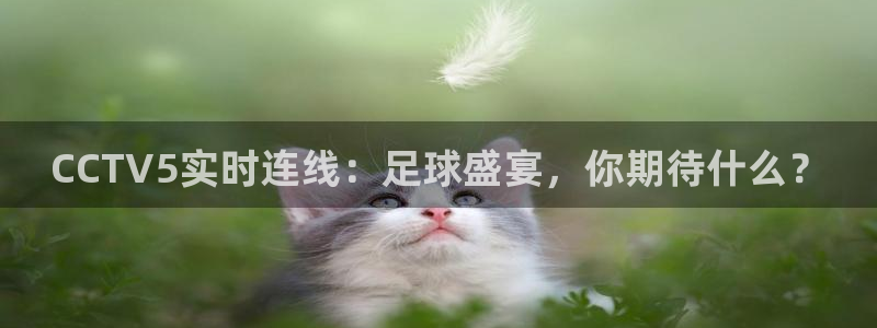 jrs直播(无插件)直播极速体育nba：CCTV5实时连线：足球盛宴，你期待什么？