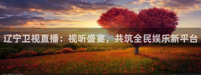 黑白直播极速体育：辽宁卫视直播：视听盛宴，共筑全民娱乐新平台