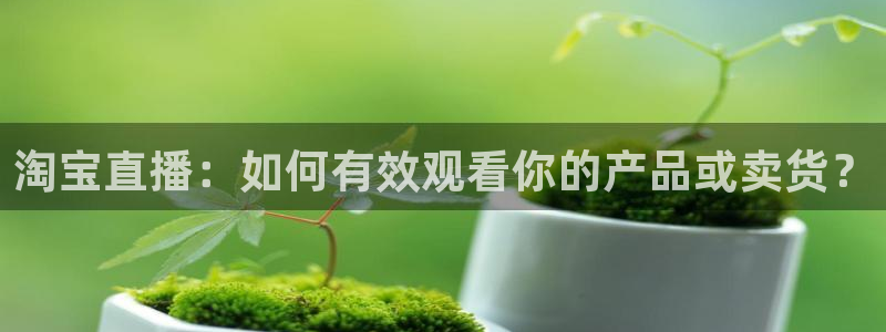 极速体育直播nba直播吧免费观看：淘宝直播：如何有效观看你的产品或卖货？
