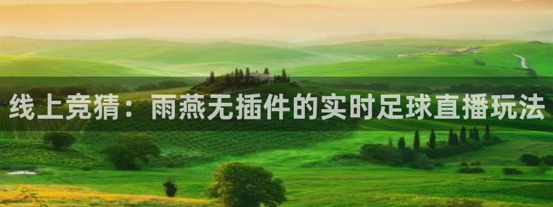 nba直播 极速体育：线上竞猜：雨燕无插件的实时足球直播玩法