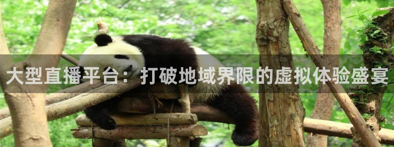 极速体育直播在线观看：大型直播平台：打破地域界限的虚拟体验盛宴
