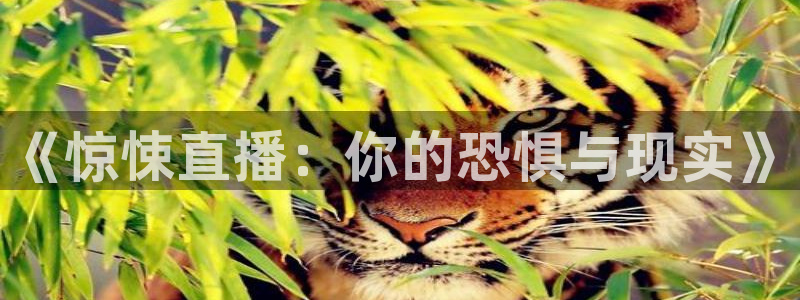 极速体育在线观看：《惊悚直播：你的恐惧与现实》